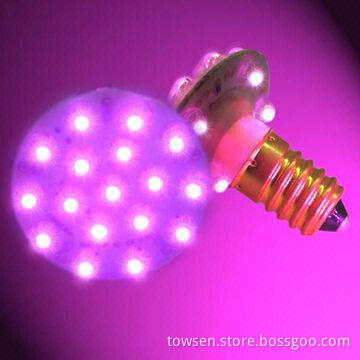 E14 LED Amusement Light for Amusement Parks, Dip 22pcs LED